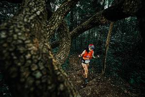 BIB: 
                            <button type="button" onclick="openModal(25695607)" class="btn btn-primary btn-sm float-right btn-popup" data-toggle="modal" data-target=".modal-high-quality">
                        <i class="fas fa-shopping-cart"></i> Add to Cart
                    </button>
                                            <button type="button" onclick="isThisMe(25695607, true)" class="btn btn-success btn-sm float-right btn-popup btn-isme hidden" data-toggle="tooltip" data-placement="bottom" title="นี่คือรูปของคุณใช่ไหม คลิกที่นี่เพื่อเอาเข้าอัลบั้ม">
                        <i class="fas fa-plus"></i> Add to album
                    </button>
                    <button type="button" onclick="isThisMe(25695607, false)" class="btn btn-warning btn-sm float-right btn-popup btn-isnotme hidden">
                        <i class="fas fa-ban"></i> Remove from album
                    </button>